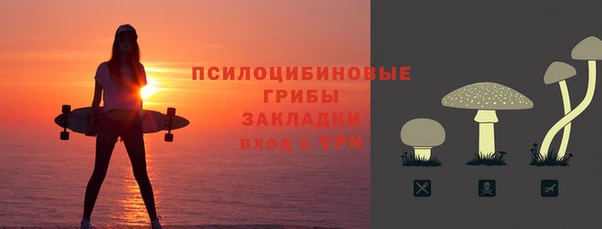 каннабис Ессентукская