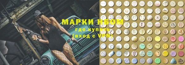 каннабис Ессентукская