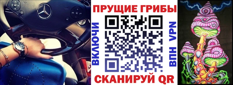 Купить  Барнаул  Галлюциногенные грибы прущие грибы 